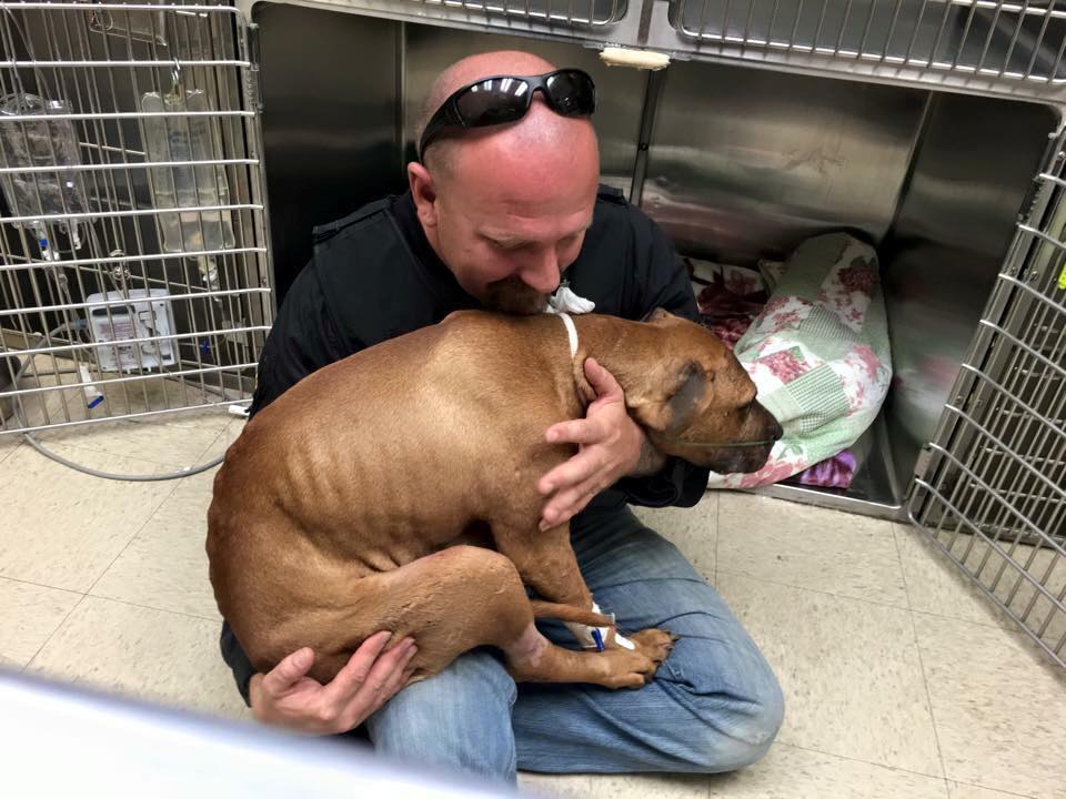 rescued-pit