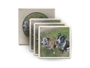 Woofstock Prize, Coaster