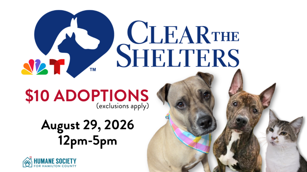 Clear the Shelters