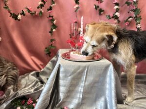 The Decadent Dinner Package