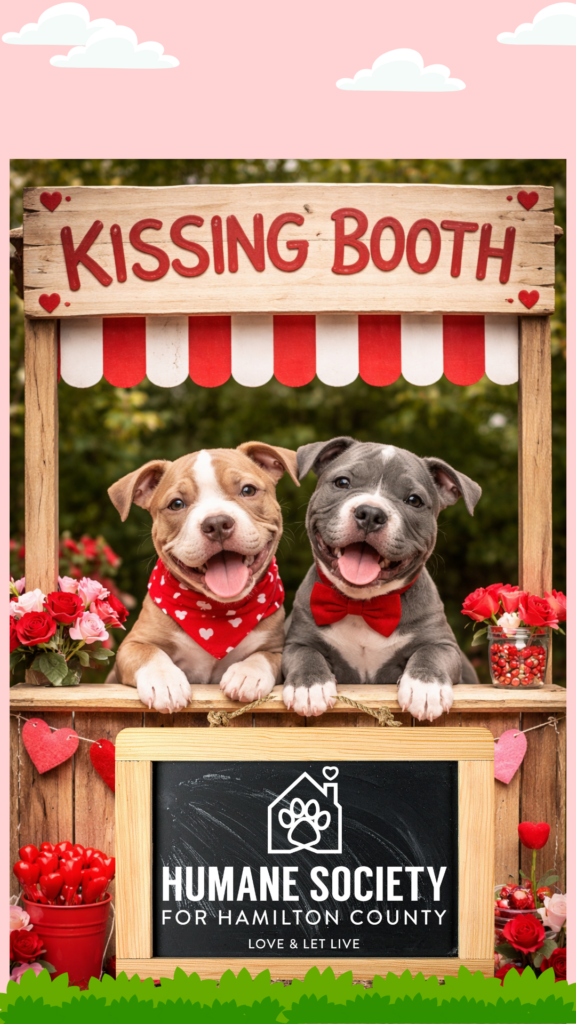 Pit Bull Kissing Booth
