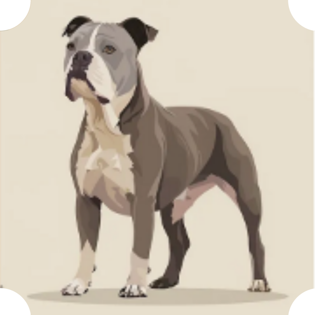 american bully
