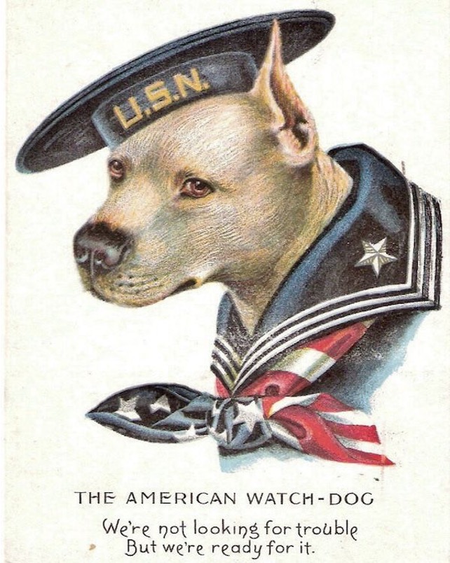 American Watch Dog