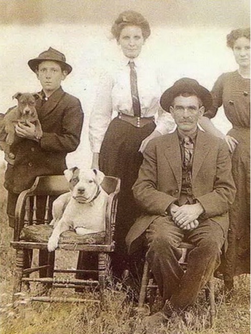 Immigrants with pit bull