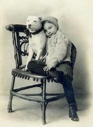 Baby with nanny pit bull