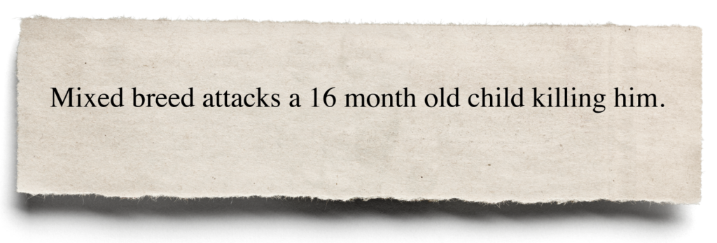 Mixed breed attacks a 16 month old child killing him.