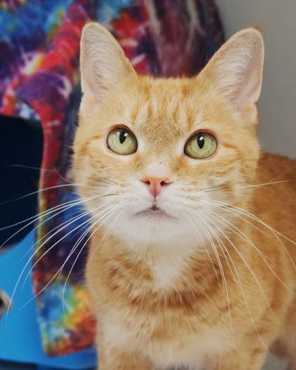 Mimi