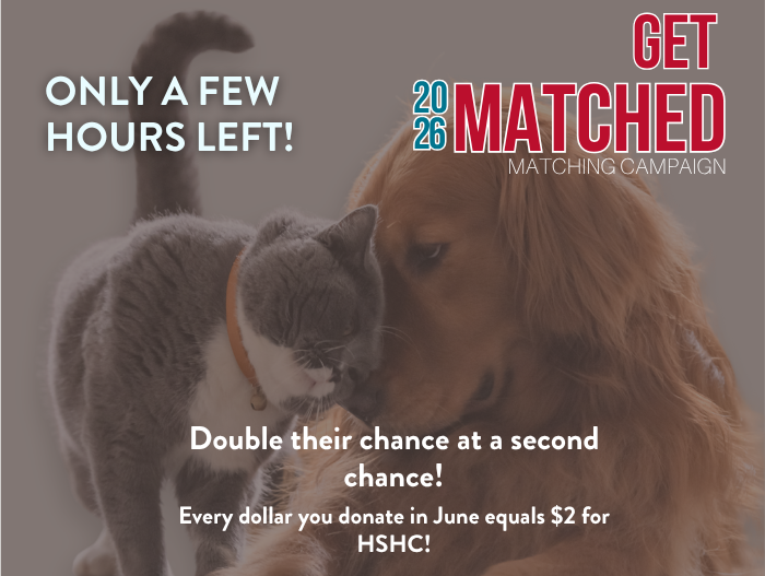 Only a few hours left to get donations matched