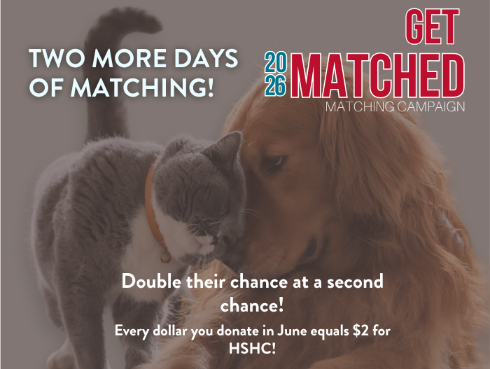 2 More Days of Matching