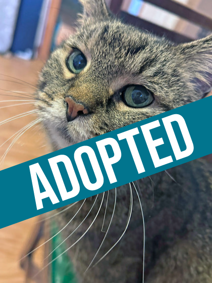 Freya got adopted!