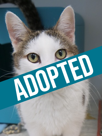 Penelope got adopted!