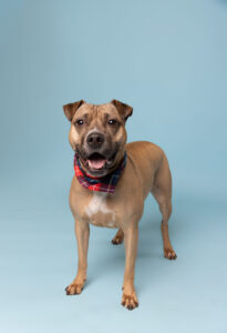 Piper Furtography
