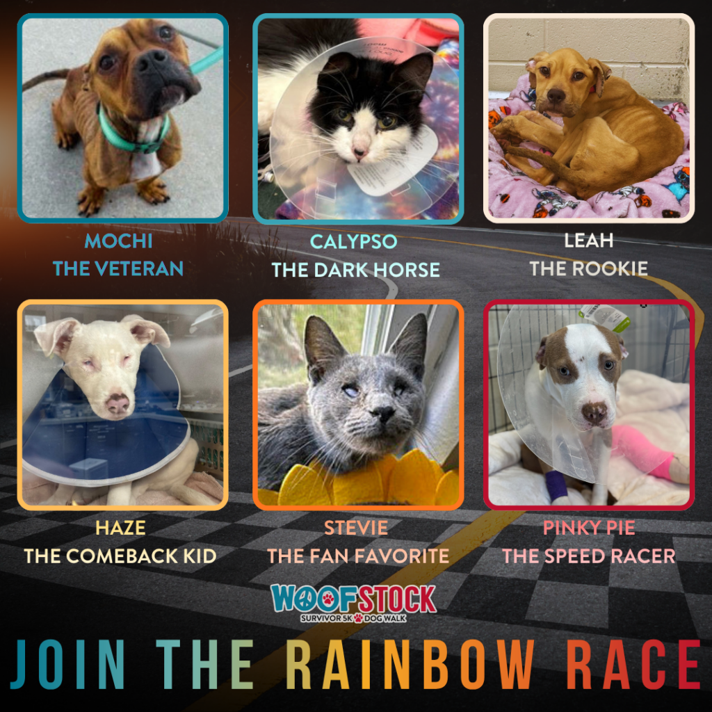 Rainbow Racers