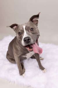 Miss Sissy Furtography