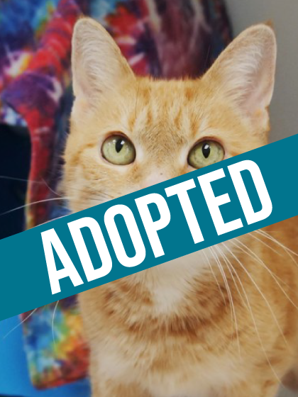 Mimi got Adopted!