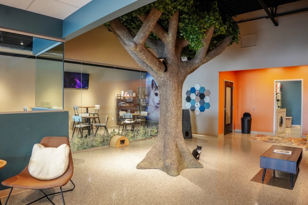 Smitten Kitten Cafe