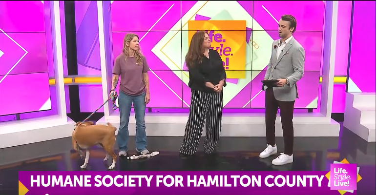 WISH-TV Clear the Shelters