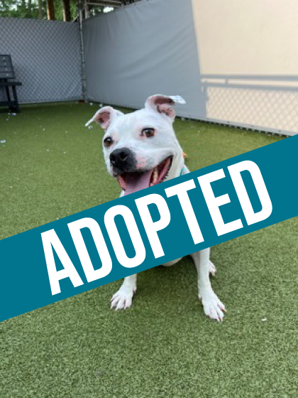 Bebe got adopted!