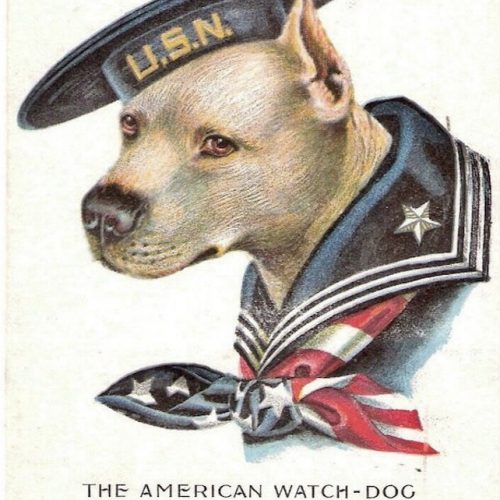 American Watch Dog